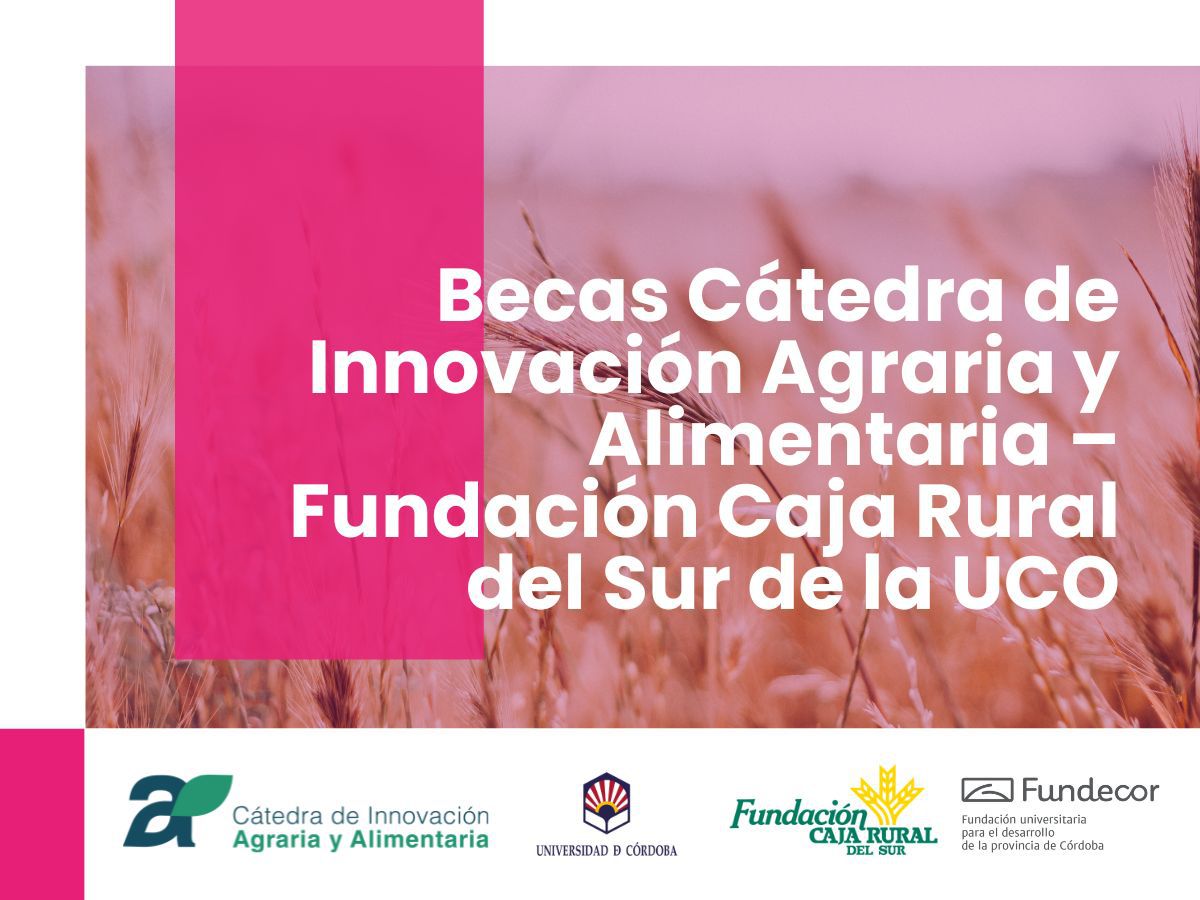 ¡Nuevas BECAS! Cátedra de Innovación Agraria y Alimentaria – Fundación Caja Rural del Sur de la UCO