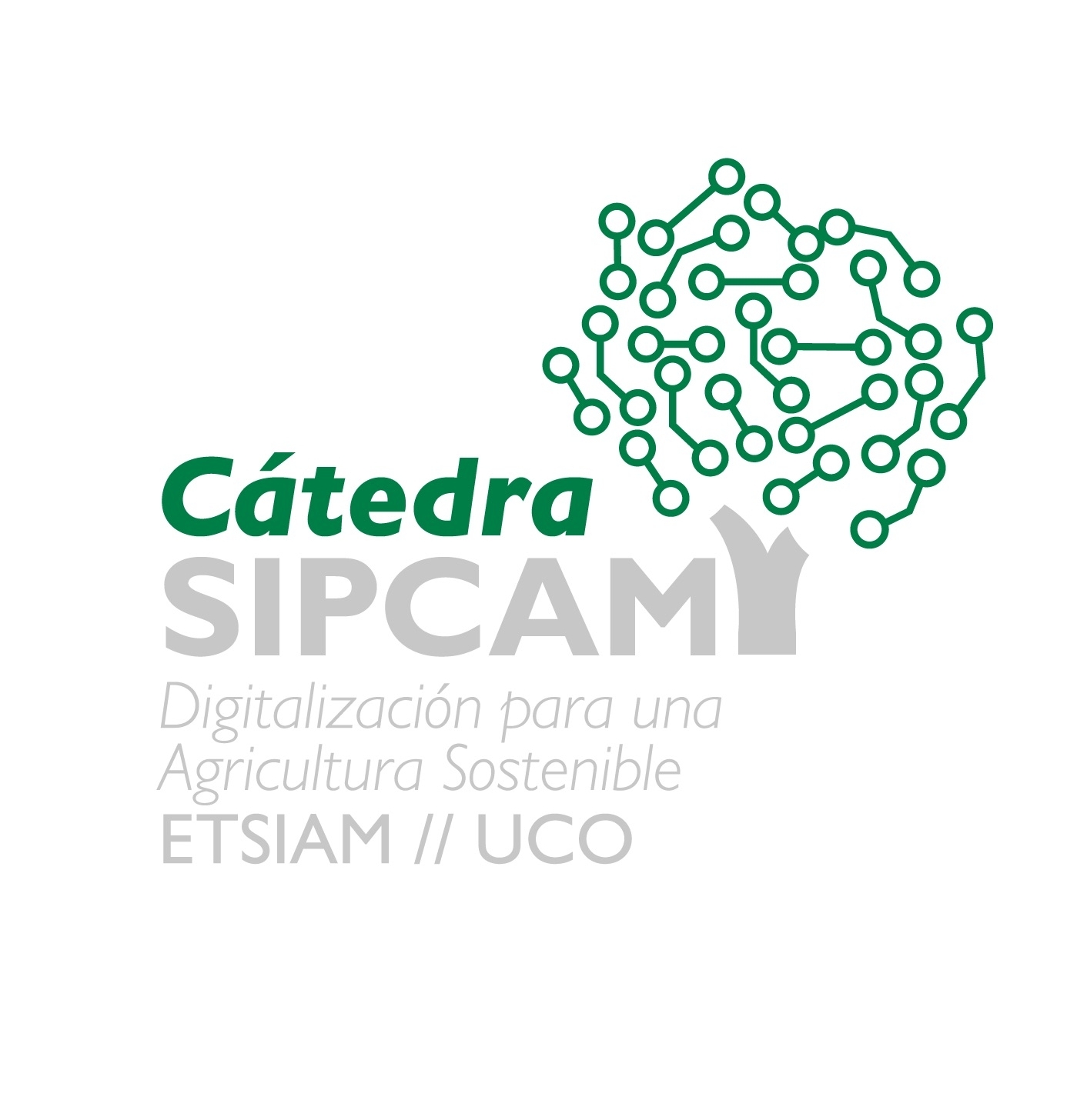 Becas de la Cátedra SIPCAM de Transformación Digital para la Agricultura Sostenible de la Universidad de Córdoba